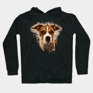 Boxer dog Hoodie